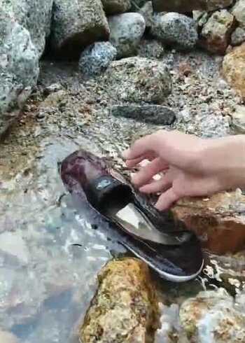 捡破鞋发现大货