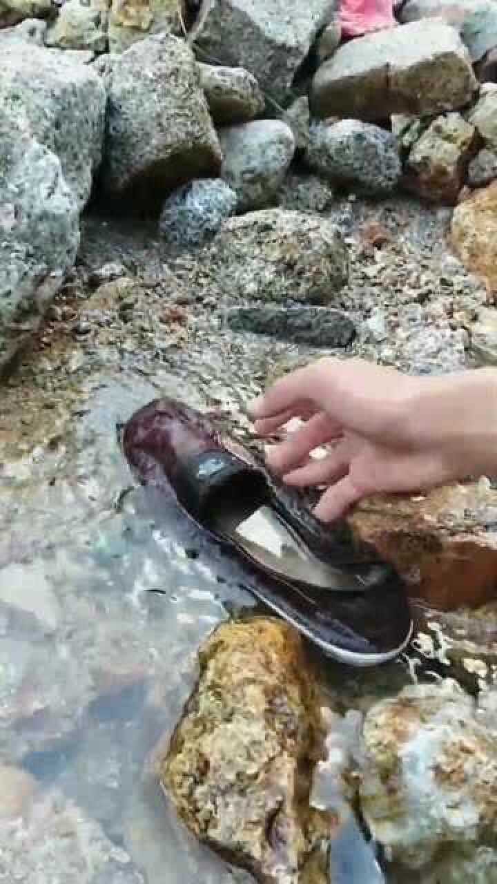 捡破鞋发现大货