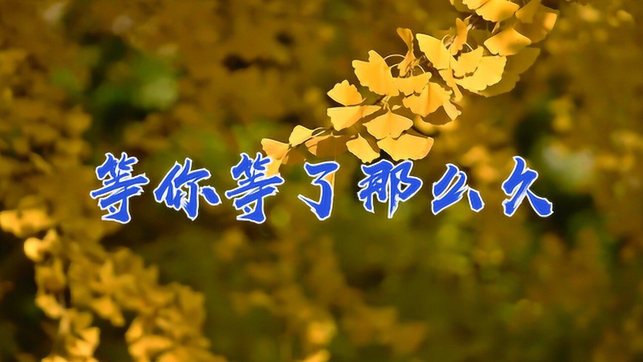 祁隆情歌等你等了那么久醉心动人伤感深情触人心弦