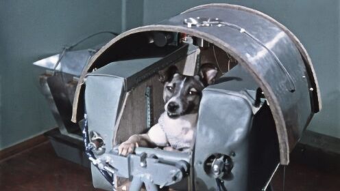 太空狗的鼻祖：绕地球飞行几十年，现在还在太空飞！