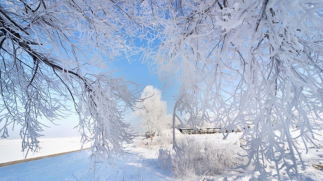 到大東北感受真正的冬天,吉林霧凇島,冬天裡的冰雪童話