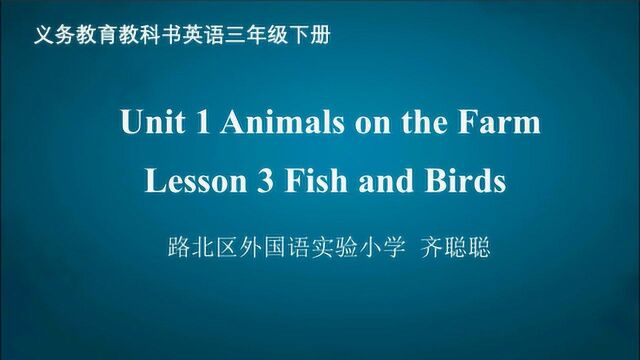 Lesson3 Fish and Birds 英语 三年级下册