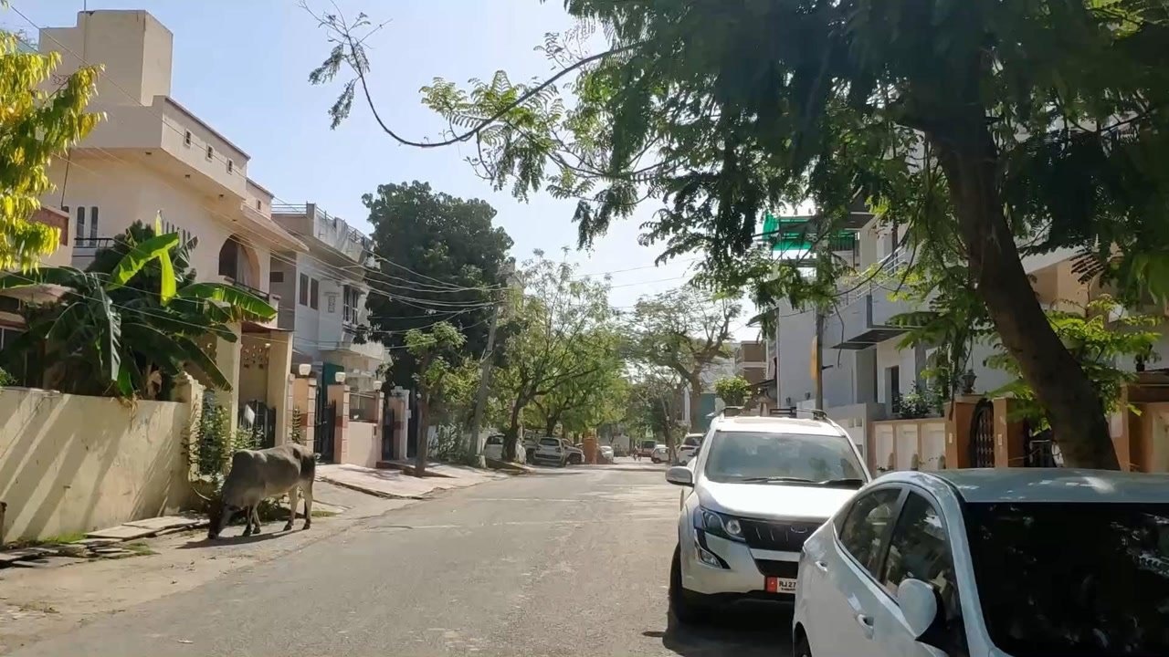 实拍印度小城富人区,和外面的环境相比简直是天壤之别