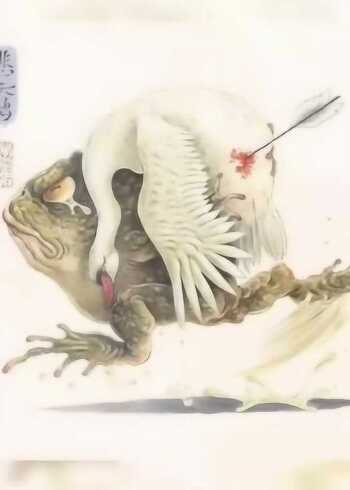 癞蛤蟆救天鹅,这张图太真实了!
