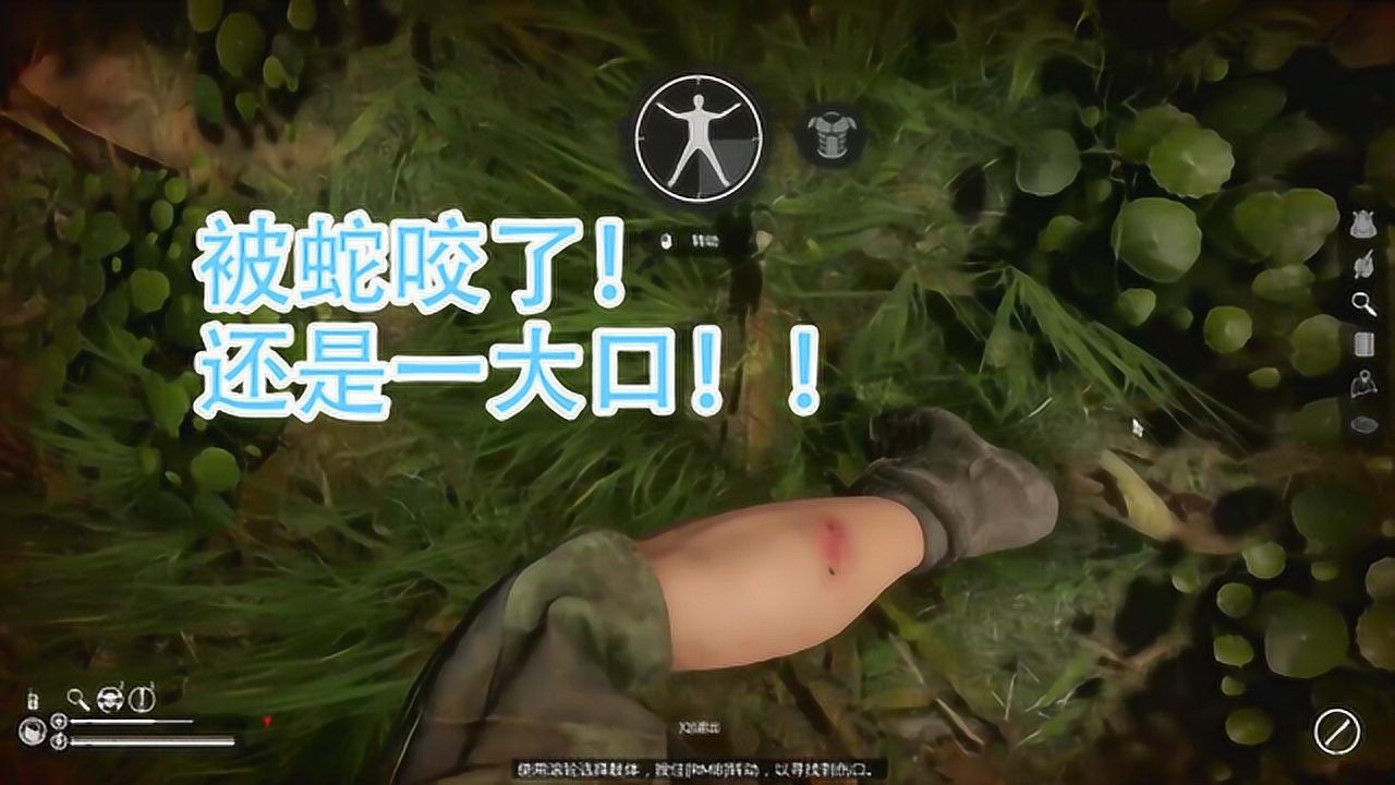 绿色地狱:p6小小响尾蛇竟如此放肆_腾讯视频