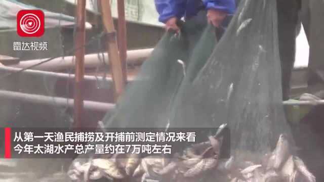 鱼来鱼往!浙江太湖开捕,风雨中喜迎“第一网”