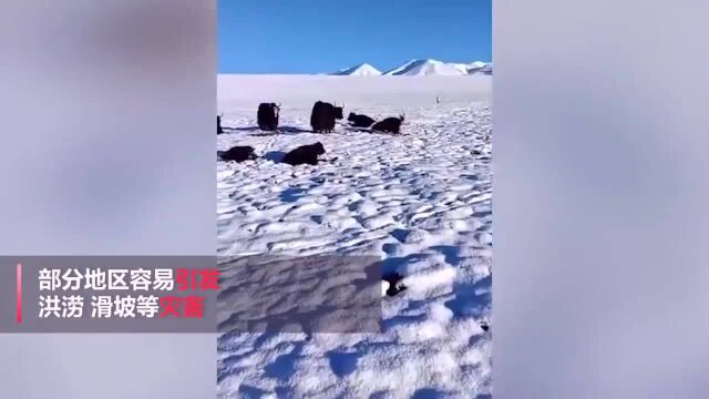 青海祁连突降大雪,司机一秒穿越进冬天