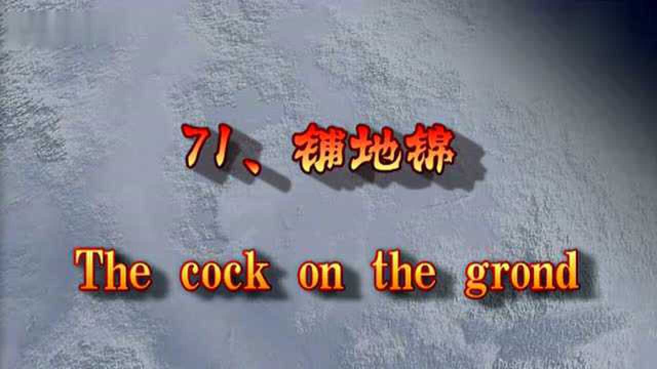 刘想英小架太极拳一路9_标清.mp4