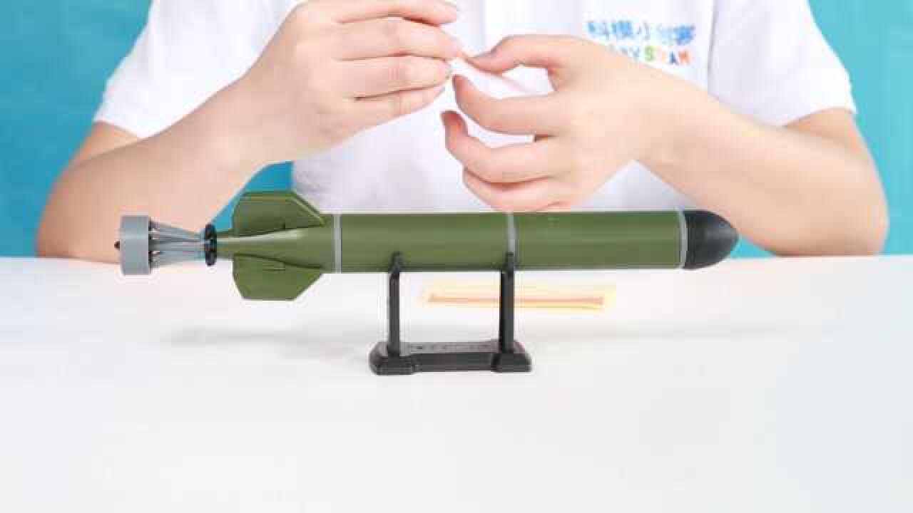 中天模型-科模小创客-中华鲟鱼雷模型