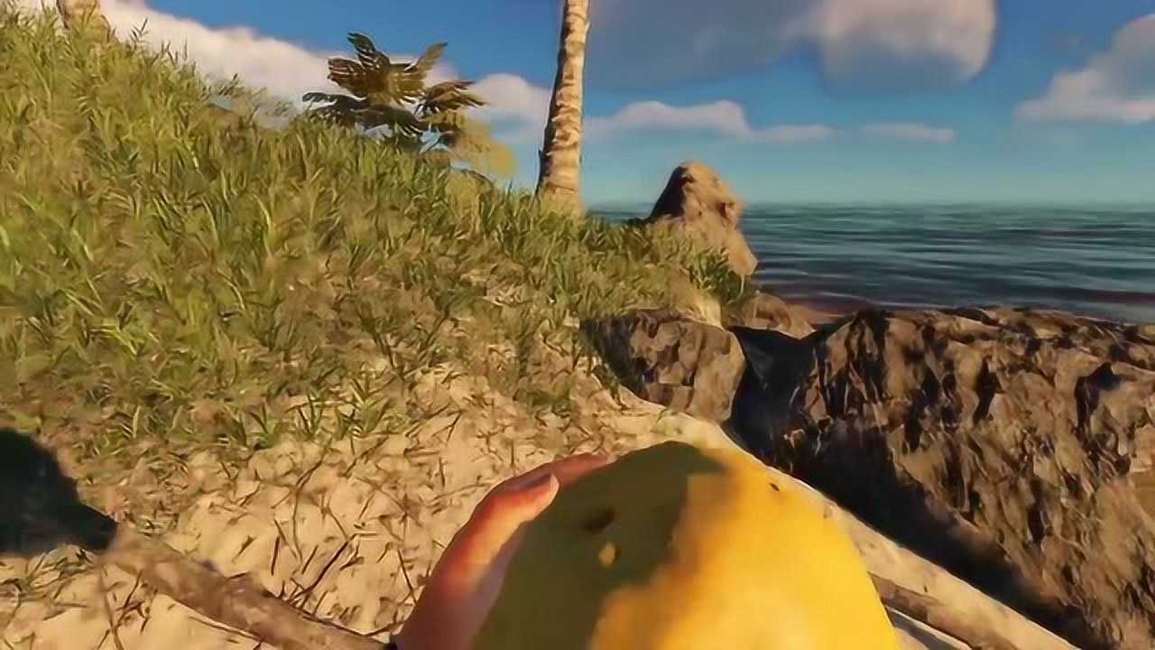 荒岛求生02:去沉船找宝藏 在海滩烤鱼