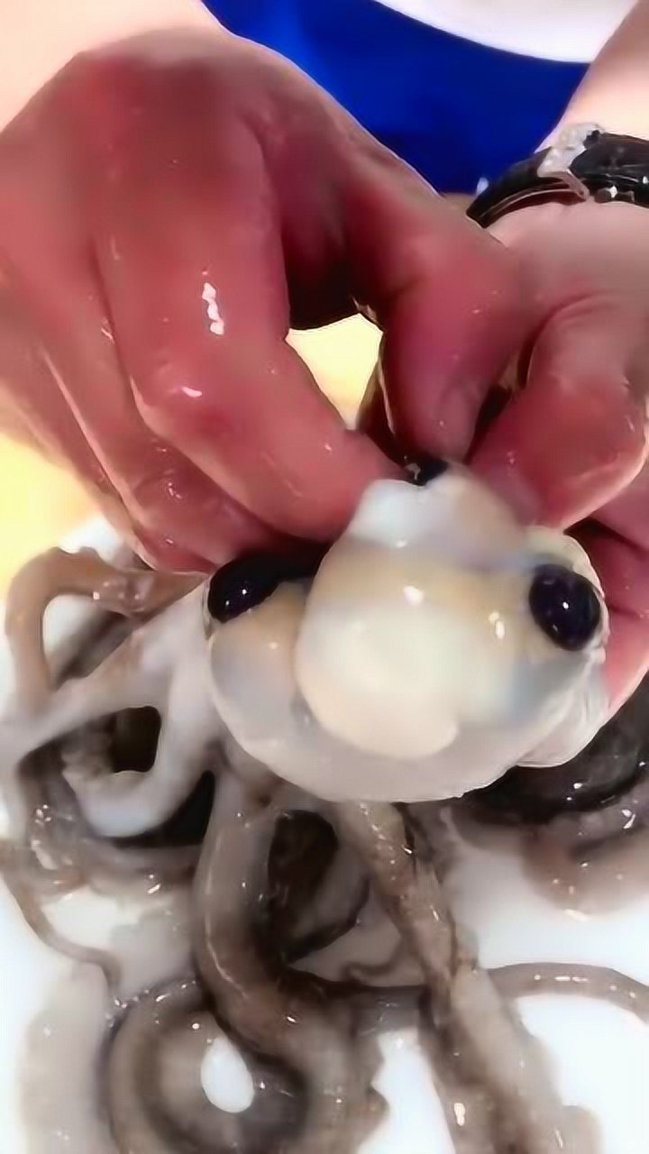 不要再傻傻的爆头了,八爪鱼的头部哪里不能吃你知道吗