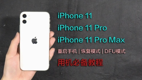 iPhone 11用户必备教程：重启手机、恢复模式、DFU模式