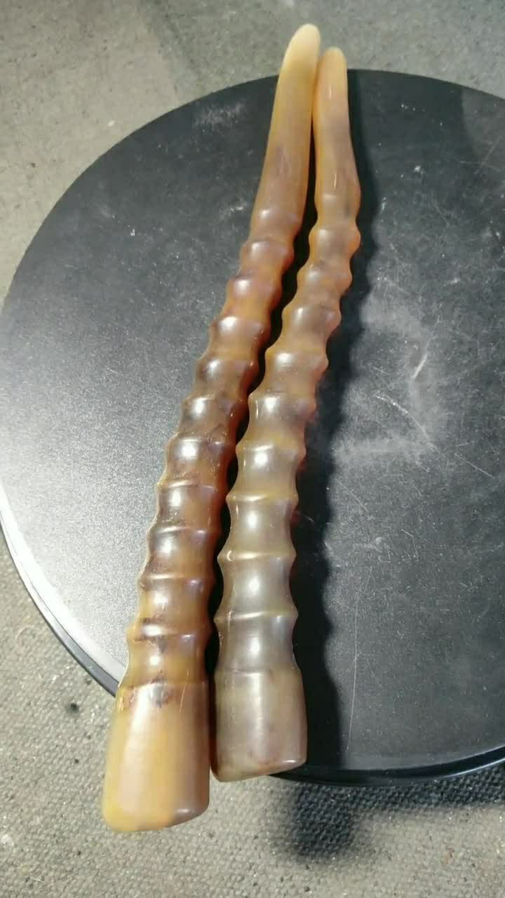 一对漂亮的藏羚羊角,已经包浆了,色泽鲜艳