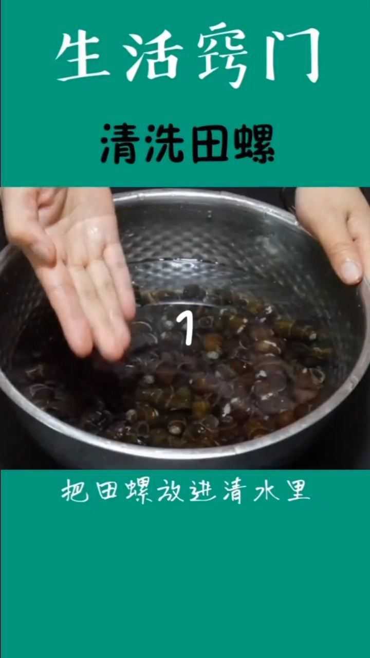 田螺吐泥别用盐水学会这些泥沙吐的又快又干净