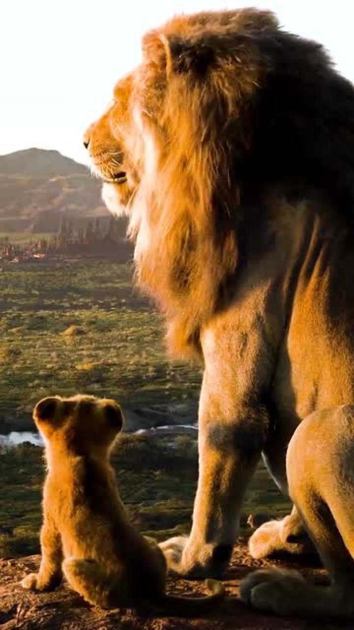 木法沙对辛巴的教导有一个好的父亲和教导是多么的重要