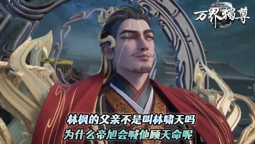 万界独尊林枫父亲