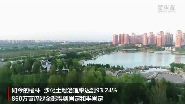 毛乌素沙地“进化史”