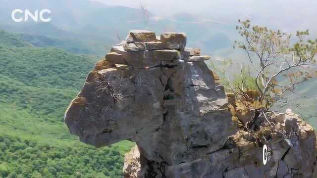 瞰中国|奇哉!千年石马立山间