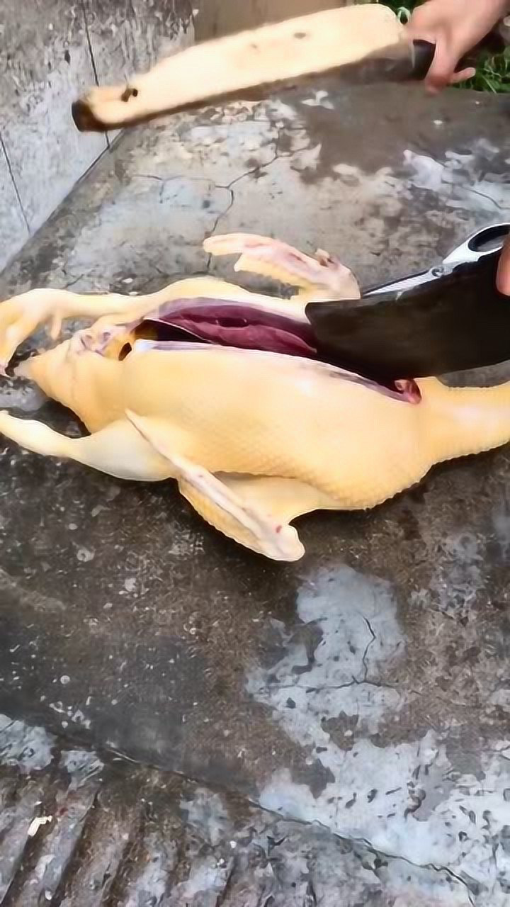 看肉质颜色就知道这是土鸭子喂五谷杂粮长大的皮糙肉厚骨头硬就是它