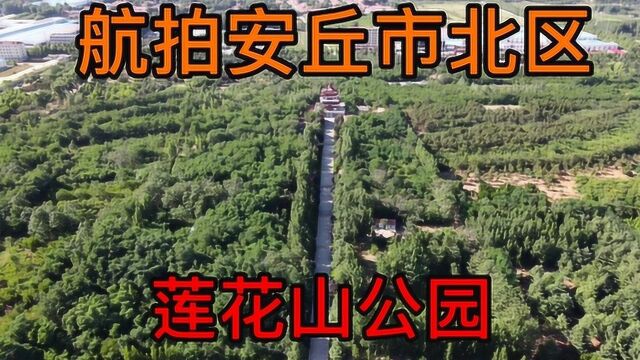 无人机航拍安丘市北区树木覆盖率最高的公园:莲花山公园