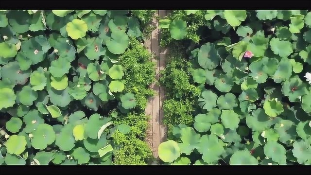 全国土地日来啦,一组唯美镜头带你看遍大美光明!