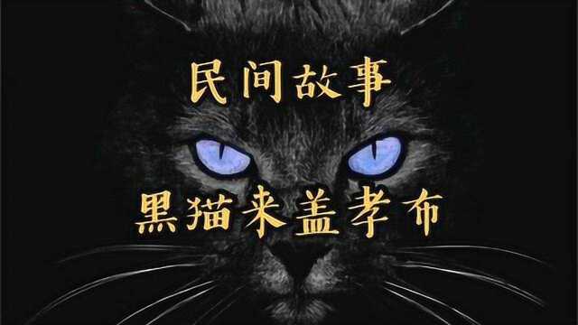 民间故事,黑猫来盖孝布