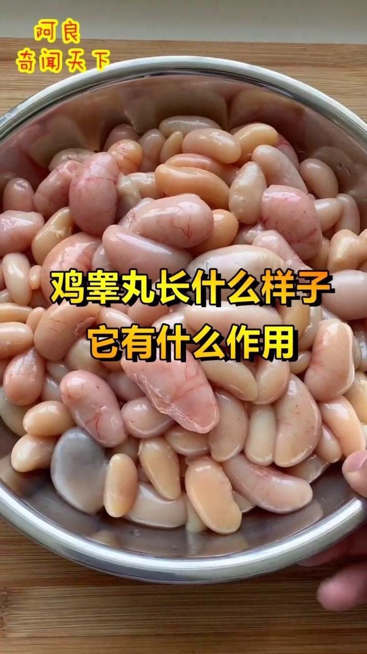 鸡睾丸长什么样子它有什么作用呢对此你怎么看