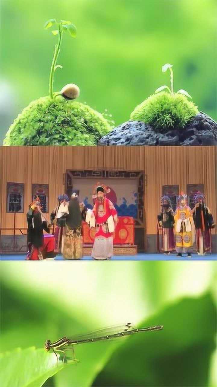陈长庆演绎京剧铡美案选段,驸马爷近前看端详,经典很动听!