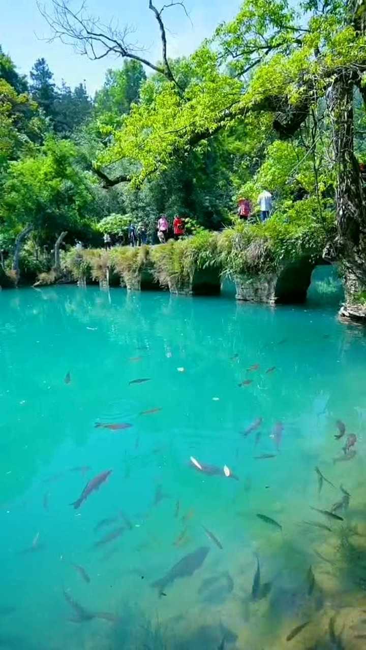 随手拍生活双世宠妃将夜等古装剧的取景地贵州省荔波县小七孔景区真的