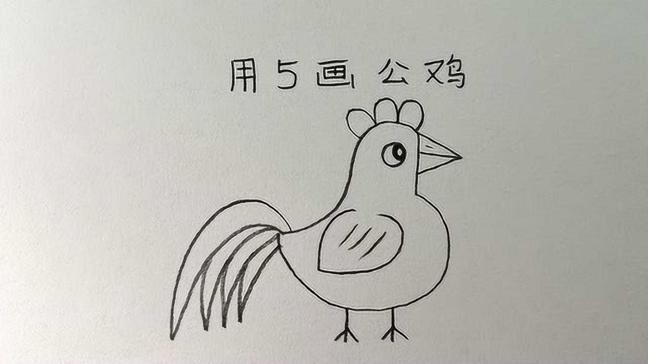 如何画大公鸡的步骤图片