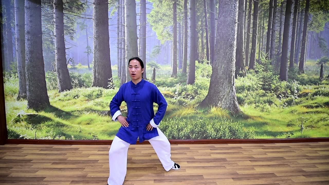 武当九式太极拳第三段