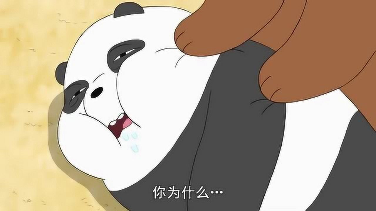 咱们裸熊胖达食物过敏被宝藏女孩相救胖达深深的爱上了她