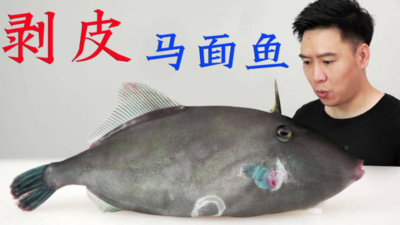 剥皮鱼来了，很便宜的马面鱼，扒皮极度舒适，鱼肝跟果冻一样嫩滑_高清1080P在线观看平台_腾讯视频