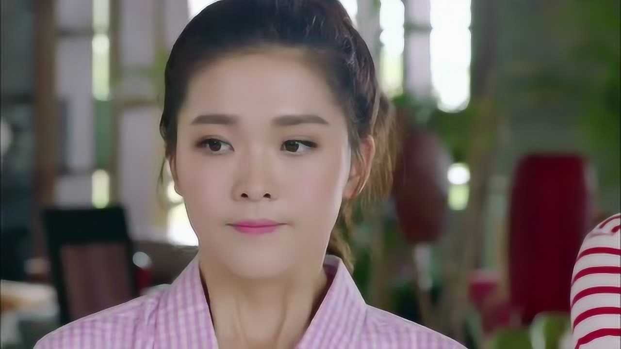 神犬小七:欧叶带小七找工作,竟然还沾了小七的光,真是太搞笑了