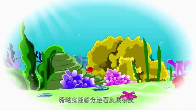 儿童科学馆:你了解珊瑚吗?珊瑚是怎么来的呢?