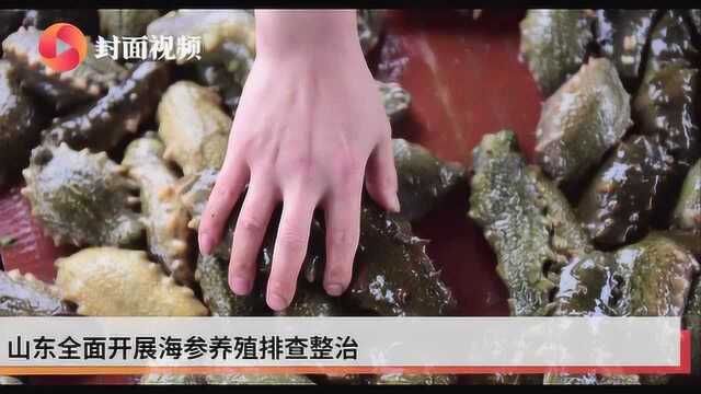 “敌敌畏养海参”续 青岛即墨区纪委对5名干部立案调查