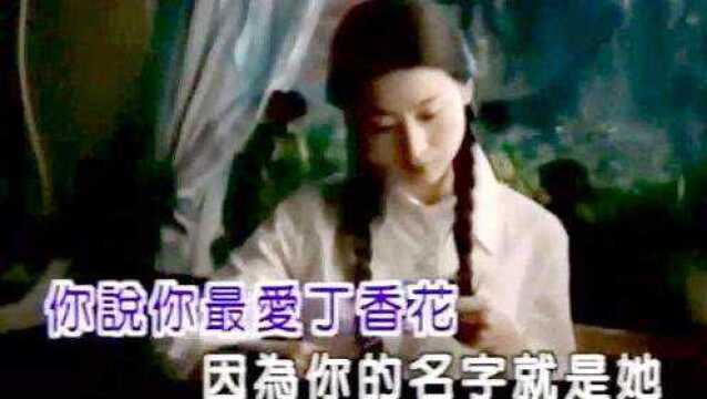 唐磊丁香花好看好听音乐怀旧歌曲