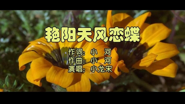 小龙宋艳阳天风恋蝶 词曲:小河