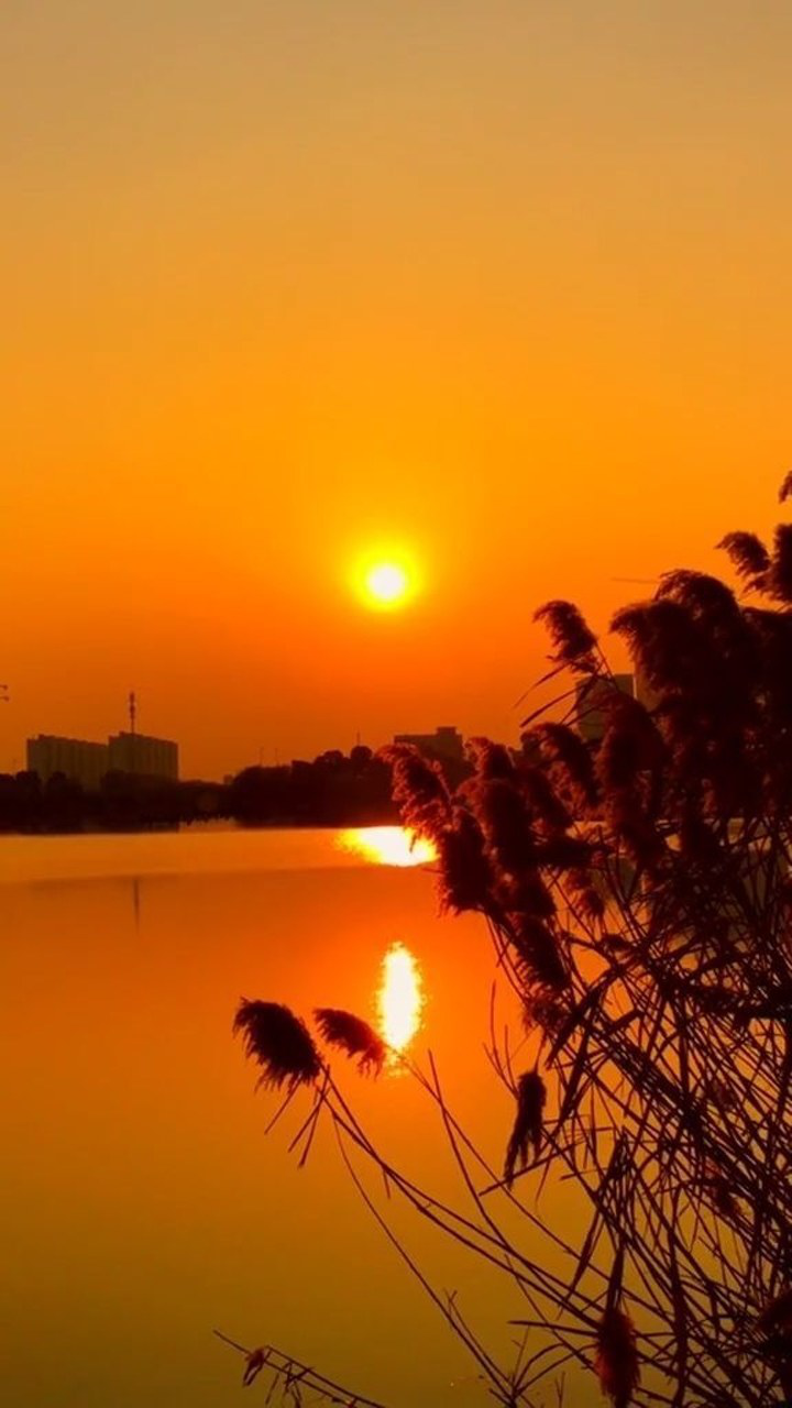 记录风景美好生活,夕阳下的阳光,太美了