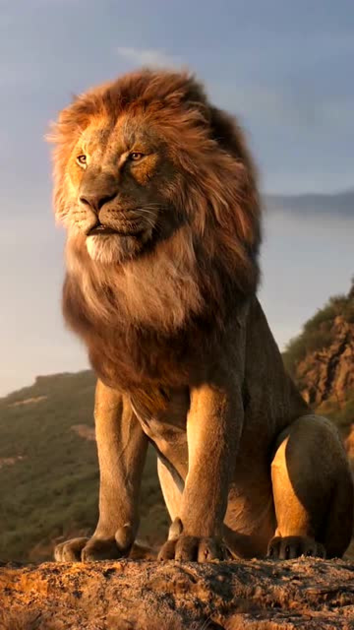 近距离的狮子王,昂首挺胸万兽朝拜,是你的目标吗?