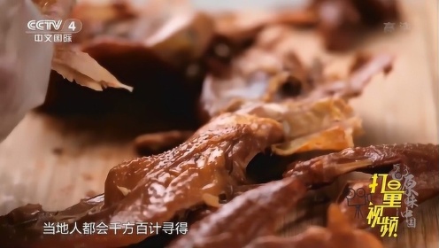 鲁西斗鸡：餐桌上的“济世良药”|源味中国