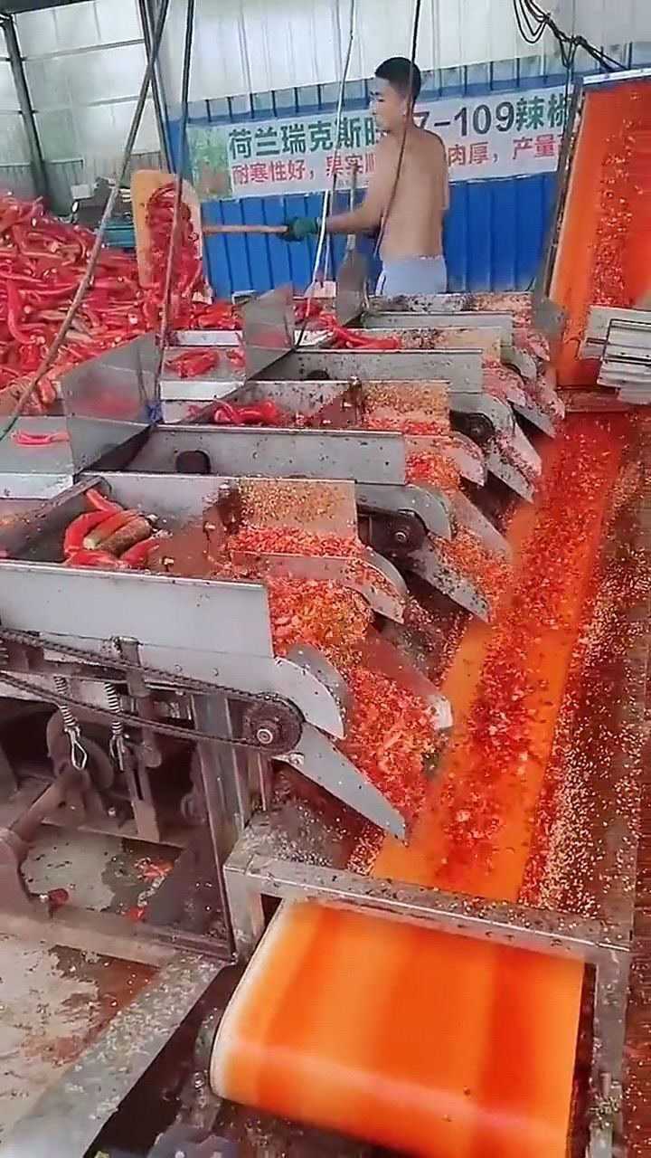 辣椒酱制作第一道工序,小小加工厂,一年利润超过上百万