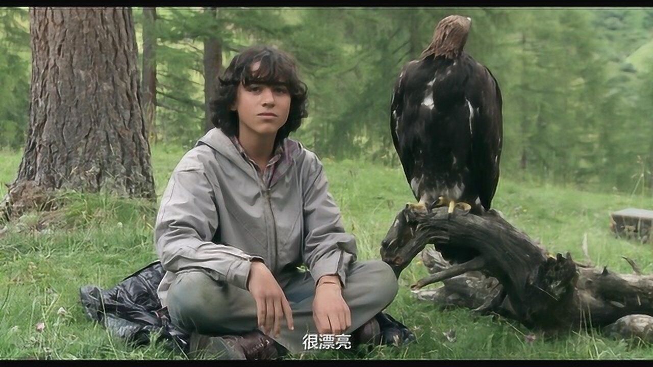 追鹰日记小伙捡到一只雏鹰开启育鹰教学怎样能让老鹰飞起来各种训练