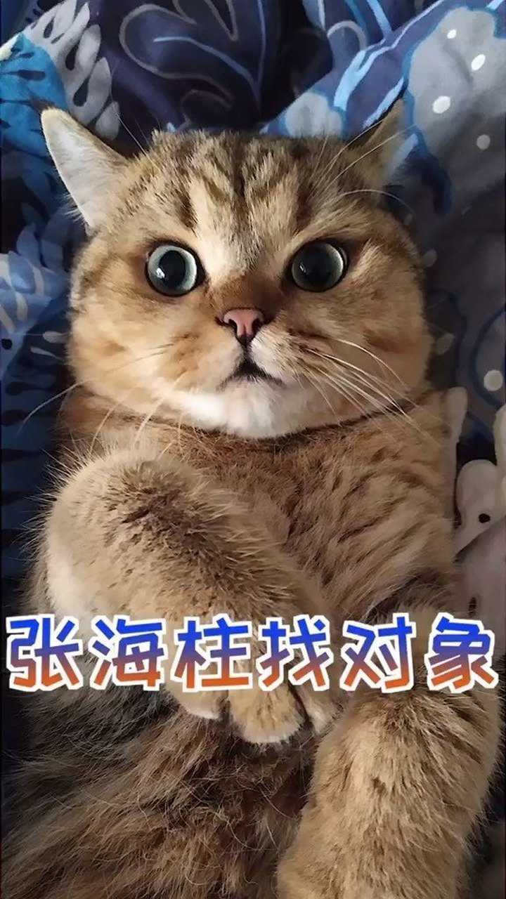 张海柱找对象过程很艰辛