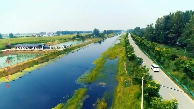 回到家乡,空着看着临泉田园风光就像梦里童话世界美美美