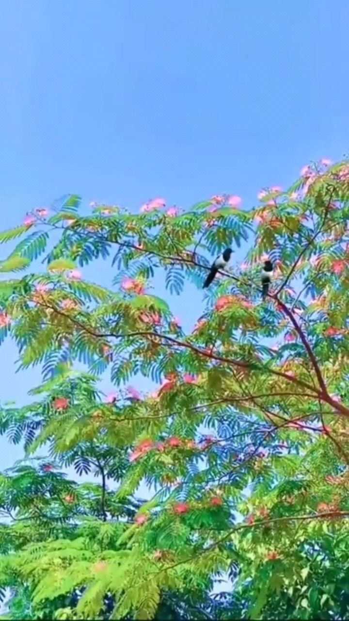 腾讯网
