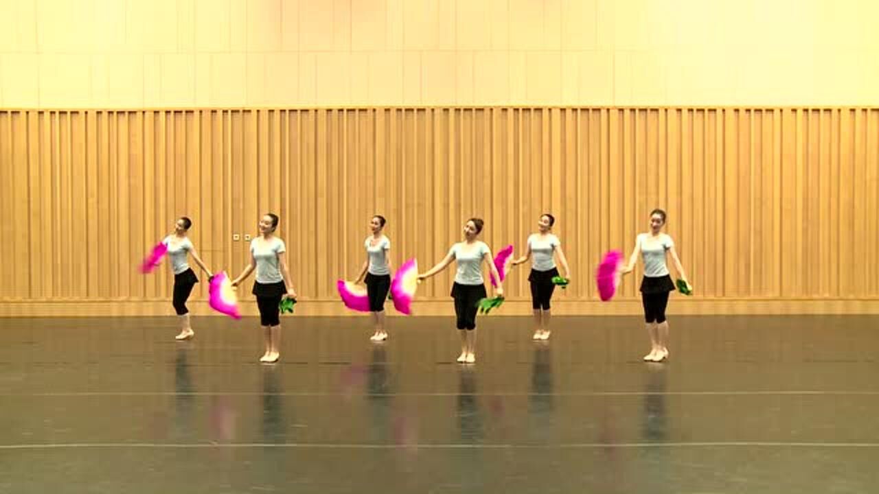 儿童考级舞蹈《俏兰花》 少儿舞蹈