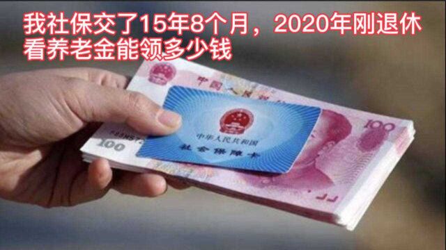 我社保交了15年8个月,2020年刚退休,看养老金能领多少钱