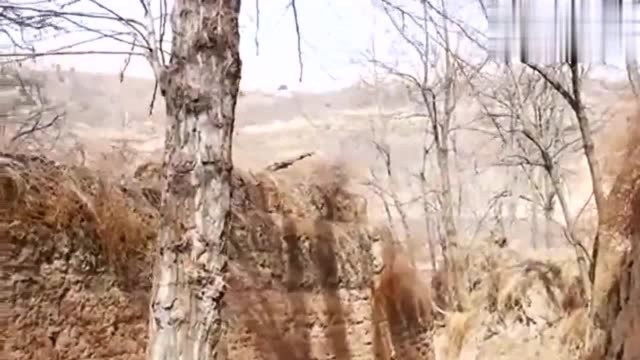 陕北民歌《山那边》,黄土高原的背景,让人想看第二遍!