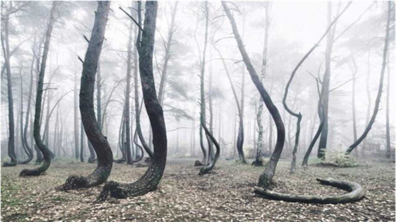 世界5大"生命禁区",中国有3个,超自然现象科学家难解释